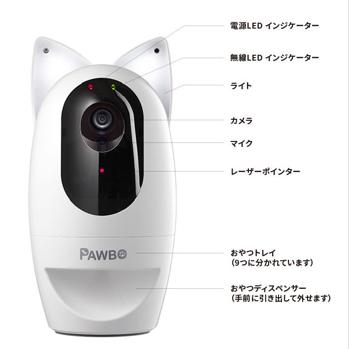 Pawbo | パウボ フラッシュ 