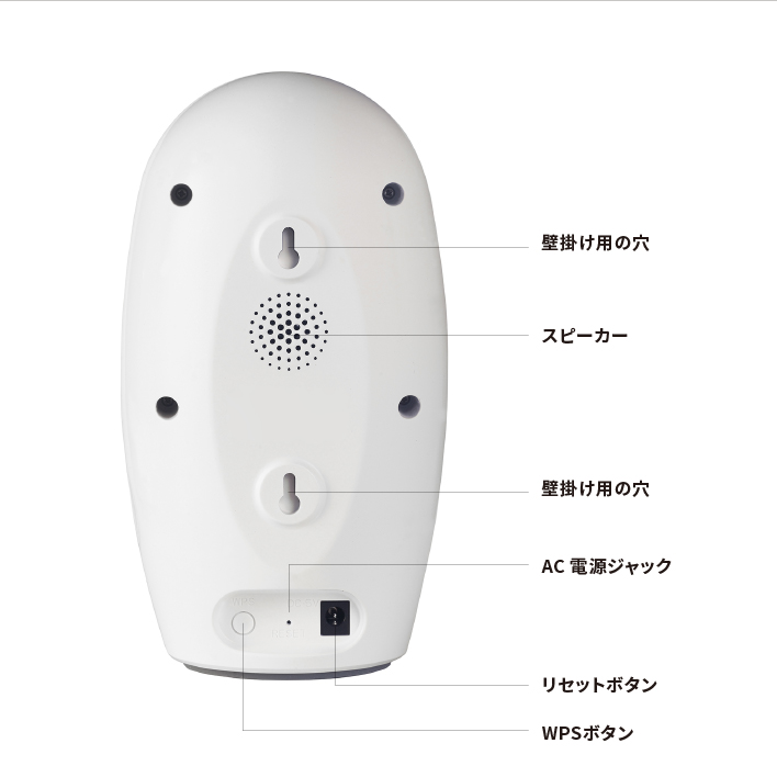 Pawbo | パウボ フラッシュ 