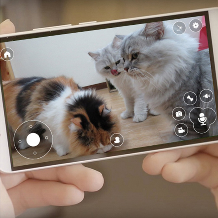 Pawbo | パウボ フラッシュ 