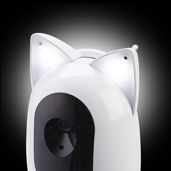 Pawbo | パウボ フラッシュ 